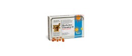 BioActivo Vitamina D 80 Cápsulas | Ossos e Imunidade