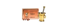 BioActivo Caroteno 60 Cápsulas | Bronzeado Saudável