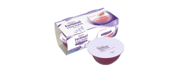 Fortimel Creme Protein Frutos Silvestres 4x125g