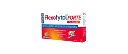 Flexofytol Forte Comp X14