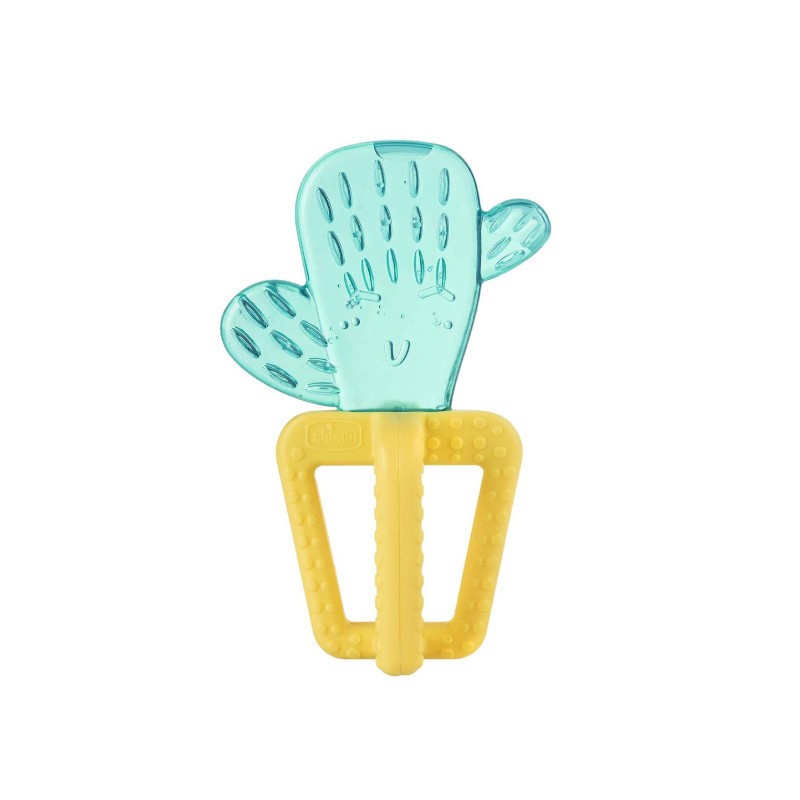Chicco Anel de Dentição Fresh Cactus 4M+