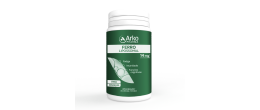 Arkocapsulas Ferro Lipossomal Caps X60